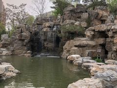 -莲花池公园