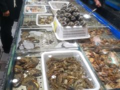 水产区-红星渔村(将军石店)