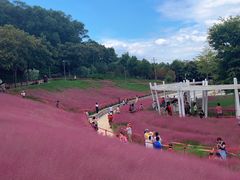-牛岗山公园