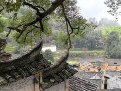 -杨家堂村