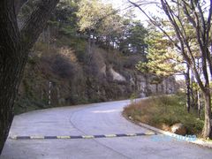 -鲁山国家森林公园