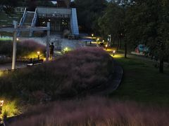 -牛岗山公园
