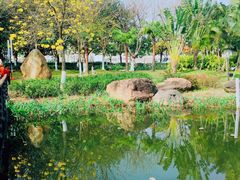 -映月湖公园