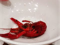 -张江海科雅乐轩聚聚乐