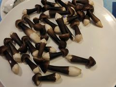 -千岛蚝高压锅生蚝·人参火锅(白云万达店)