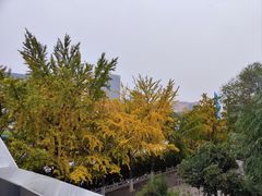 -泉城广场