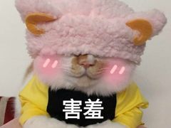 -牛很鲜潮汕牛肉火锅(乐清店)