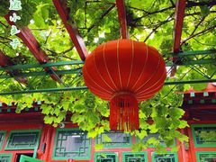 -顺承小院儿