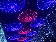 -哈尔滨文化公园