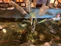 -城墙拐拐火锅(三峡广场黑金冠店)