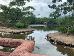 -清迈夜间动物园