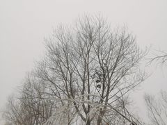 -葫芦古镇关东民俗雪乡