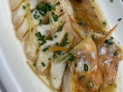 -骏莱海鲜鱼港(五角场店)