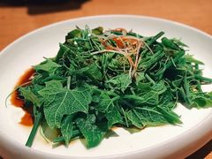 南瓜尖-马仕玖煲·融合菜·酥不腻烤鸭(人大店)