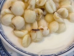 -丞記傳承