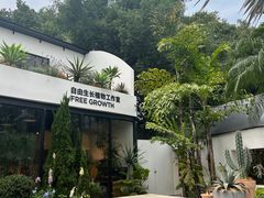 -自由生长植物工作室(深港花卉中心店)