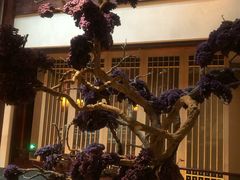 -西安华清御汤酒店