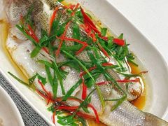 -天鹅到家·保姆月嫂育儿嫂(总店)