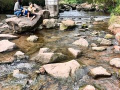 -重庆彩云湖湿地公园
