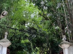 -Bamboo Saturday Market(Nana Jungle)