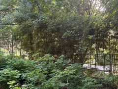 -洛阳市隋唐城遗址植物园
