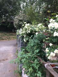 -YUEYAR PHOTO摄影