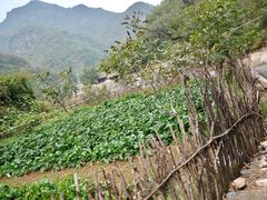 -北京山里寒舍度假酒店