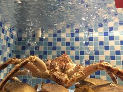 -船奇蒸汽海鲜·闽菜(八市海鲜总店)