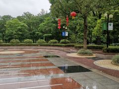 -云溪植物园