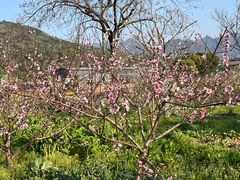 -楠溪江风景名胜区