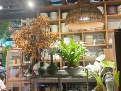 -自由生长植物工作室(深港花卉中心店)
