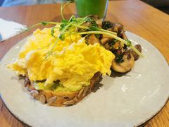 -Wagas沃歌斯(汇智店)