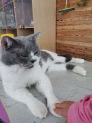 -萌宠亲子动物乐园(槐房万达店)