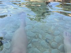 -崇阳三特浪口温泉