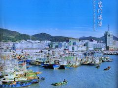 -沈家门渔港