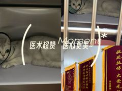 -瑞派新吉太郎宠物医院·重症转诊中心·泌尿道(嘉禾望岗院)