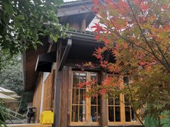 -哥老官重庆美蛙鱼头(西湖银泰十一哥店)