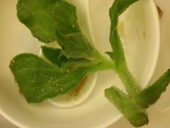 -潮福城大酒楼·潮味粤品·港式点心(湖滨北路店)