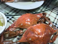 -东戴河风景区-止锚湾