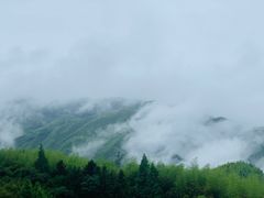 -江南天池