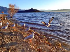 -丽江泸沽湖景区