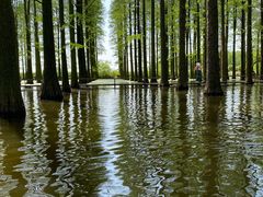 -渌洋湖湿地公园