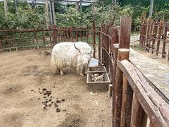-呀路古热带植物园