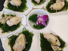 -蚝美人·生蚝海鲜烧烤(茶花园店)