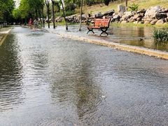 -永定河休闲森林公园