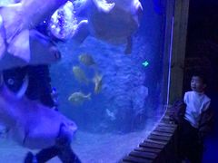 -左海海底世界