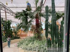 -南宫五洲植物乐园