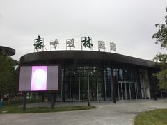 -黄海国家森林公园