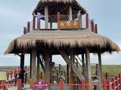 -北海金海湾红树林生态旅游区