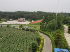 -北纬44度·金珠花海休闲农业旅游景区